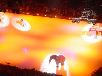 iceshow6.jpg