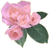 img5.gif